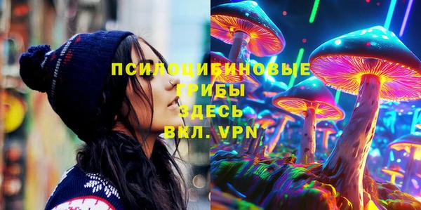 первитин Ладушкин
