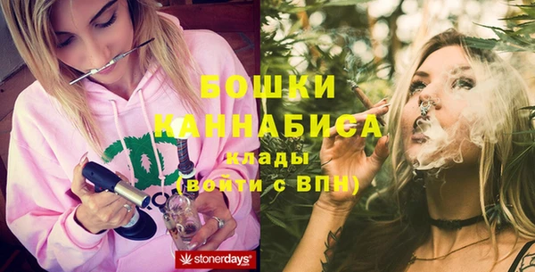 первитин Ладушкин