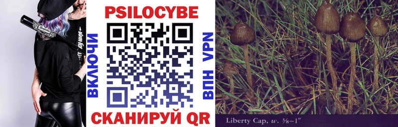 купить наркотики сайты  Вельск  Псилоцибиновые грибы GOLDEN TEACHER 